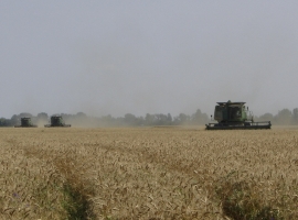 Harvest Support Russia (8)